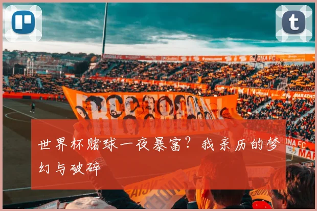 世界杯赌球一夜暴富?我亲历的梦幻与破碎