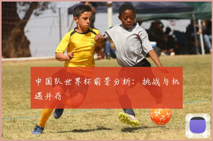 中国队世界杯前景分析:挑战与机遇并存