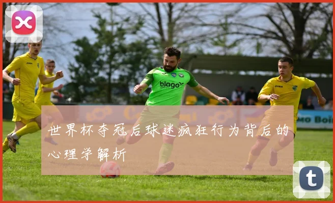 世界杯夺冠后球迷疯狂行为背后的心理学解析