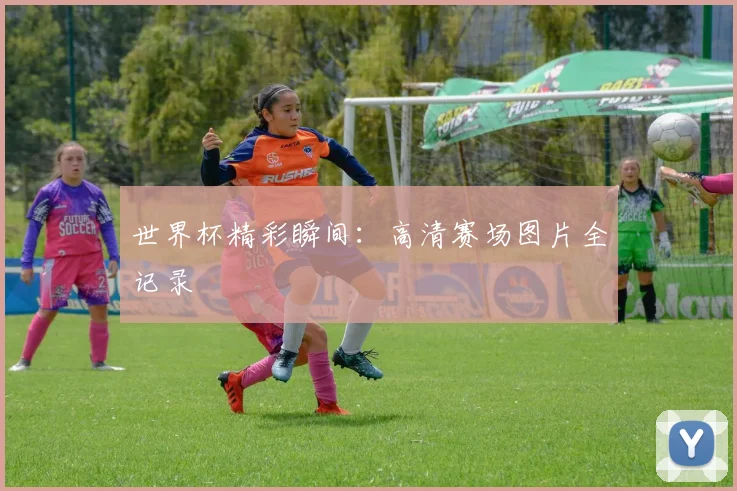 世界杯精彩瞬间:高清赛场图片全记录