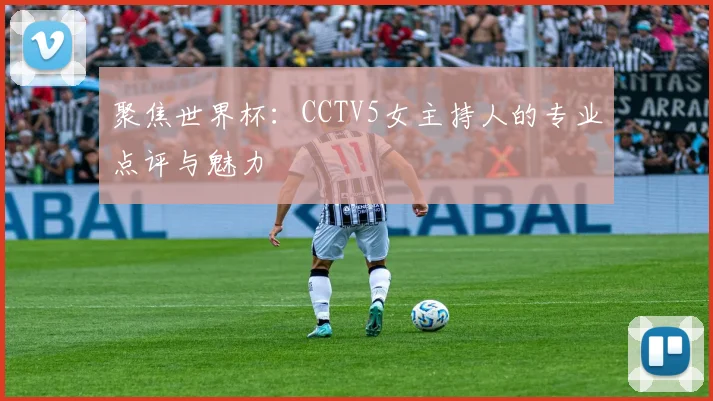 聚焦世界杯：CCTV5女主持人的专业点评与魅力