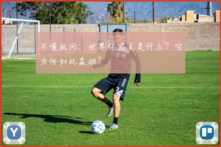不懂就问:世界杯究竟是什么?它为何如此轰动?