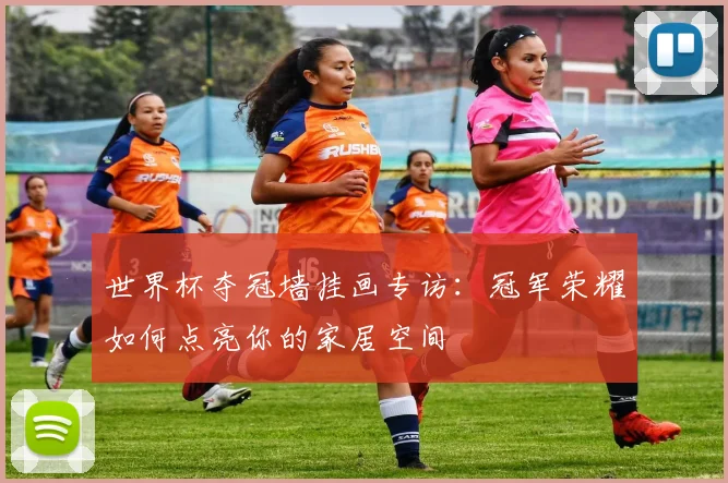 世界杯夺冠墙挂画专访:冠军荣耀如何点亮你的家居空间
