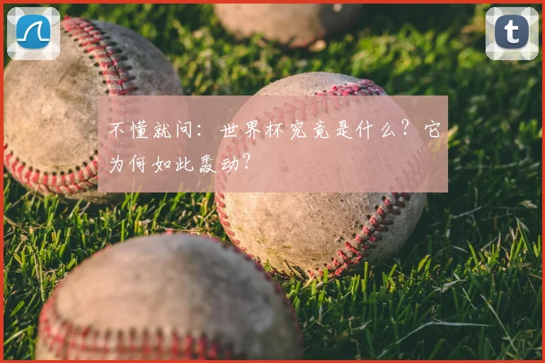 不懂就问:世界杯究竟是什么?它为何如此轰动?
