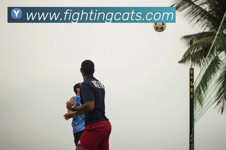 多媒体互动体验