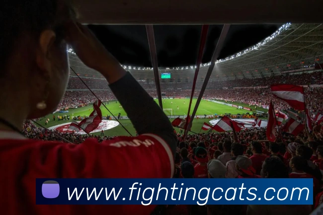 九游体育app官方首页APP 体育赛事宣传图